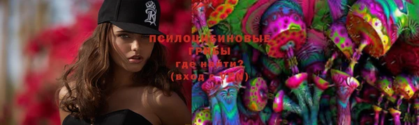 ГАЛЛЮЦИНОГЕННЫЕ ГРИБЫ Остров