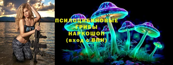 apvp Алексеевка